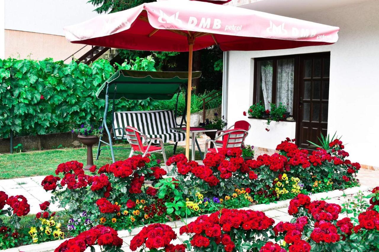 Apartmani "Vila Jelena" Arandjelovac Exterior foto