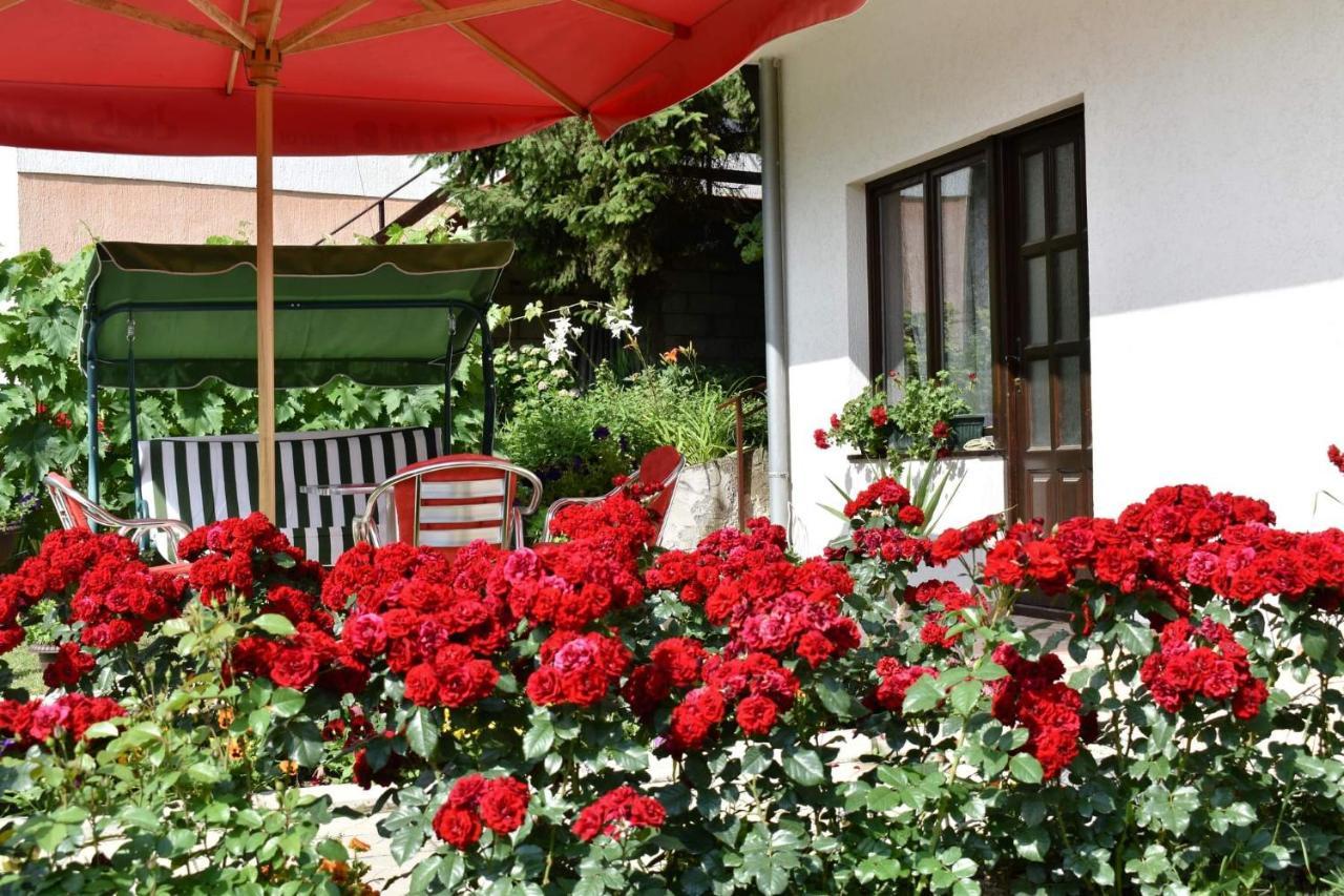 Apartmani "Vila Jelena" Arandjelovac Exterior foto