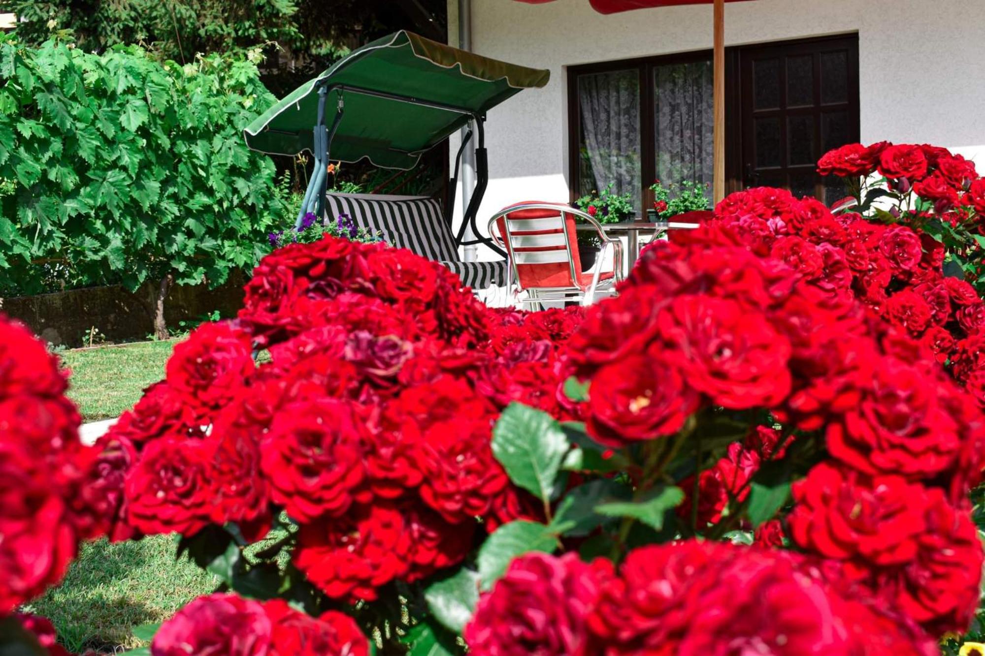 Apartmani "Vila Jelena" Arandjelovac Quarto foto
