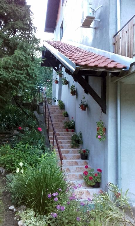 Apartmani "Vila Jelena" Arandjelovac Exterior foto