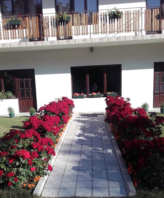 Apartmani "Vila Jelena" Arandjelovac Exterior foto